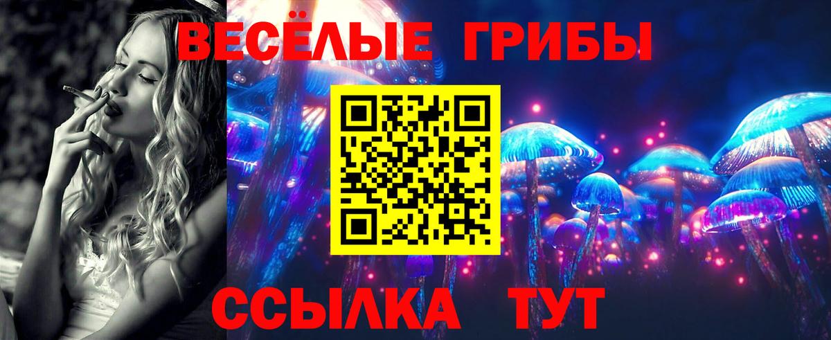 Россия  Псилоцибиновые грибы Psilocybe  Вход с VPN 