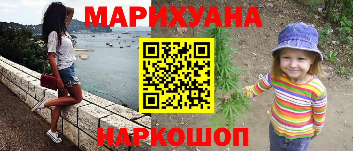 Конопля планчик Россия